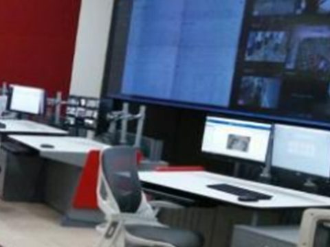 IT & Software Development